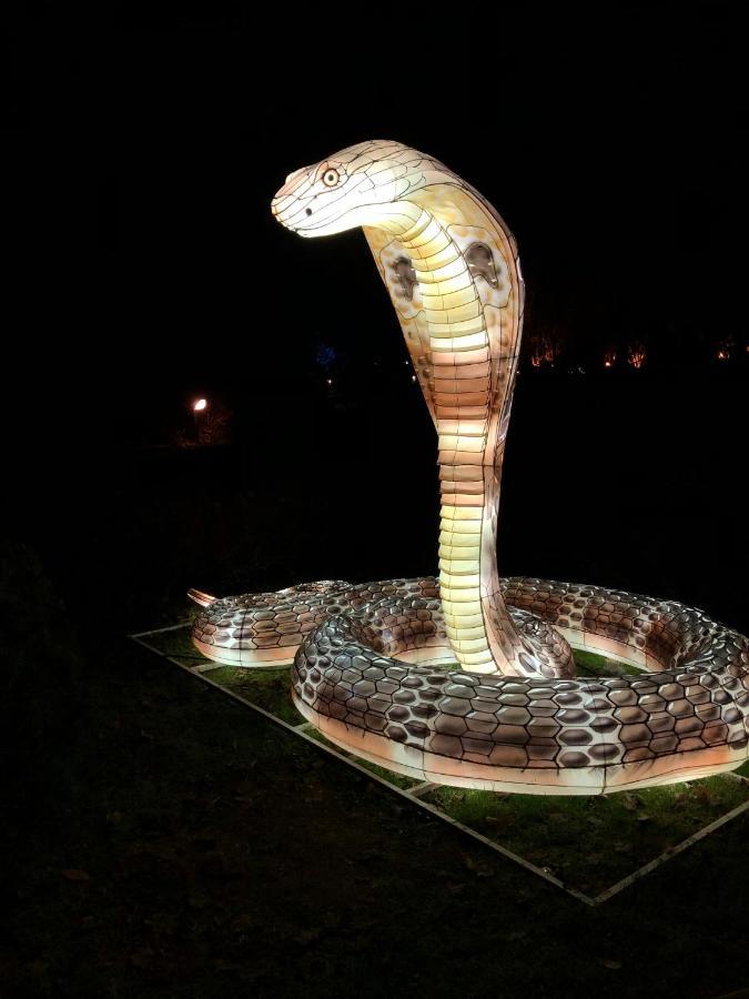 Ferienwohnungostseeblick Börgerende-Rethwisch Dış mekan fotoğraf