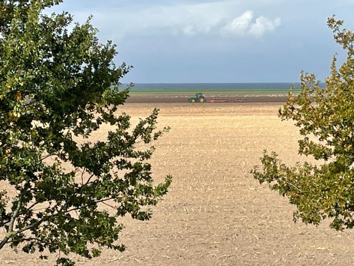 Ferienwohnungostseeblick Börgerende-Rethwisch Dış mekan fotoğraf