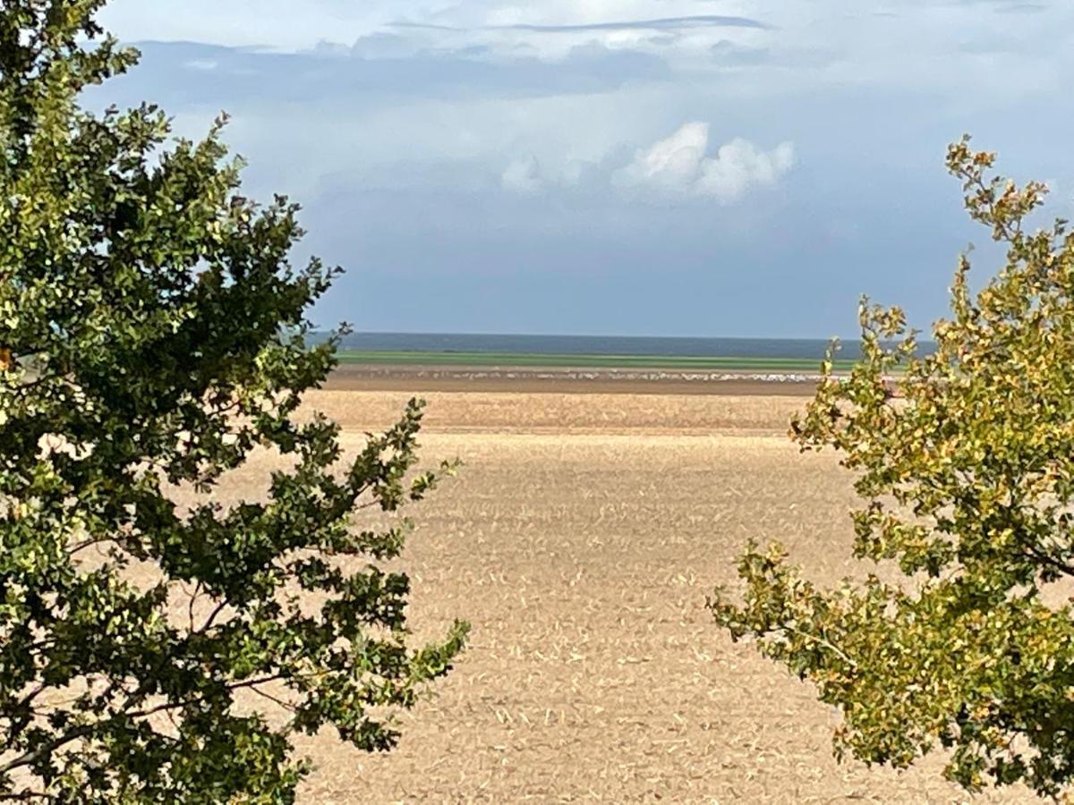 Ferienwohnungostseeblick Börgerende-Rethwisch Dış mekan fotoğraf